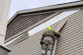 Best Vinyl Siding Installation  in Nebo, NC